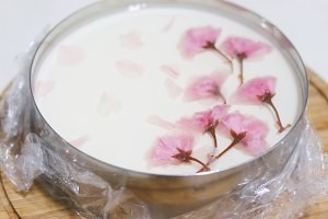 樱花酸奶慕斯的做法