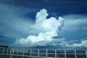 无聊时可以做哪些事情