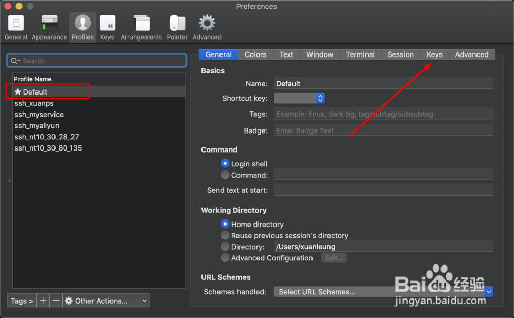 mac优化proxychains4