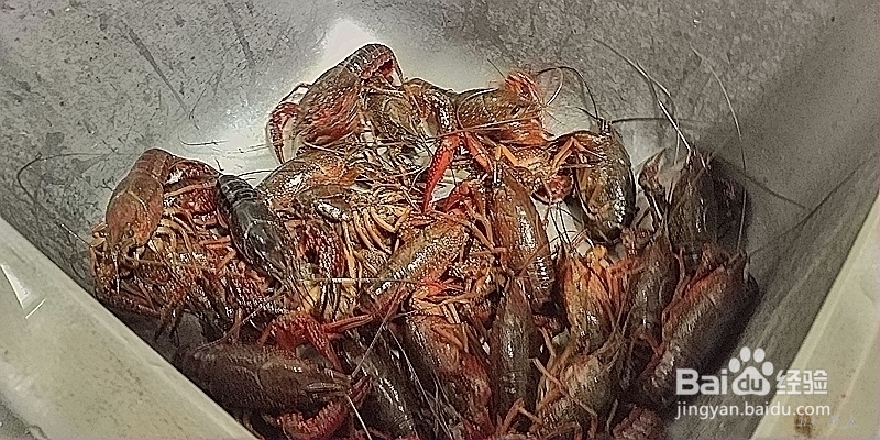 香辣小龙虾的独家秘方