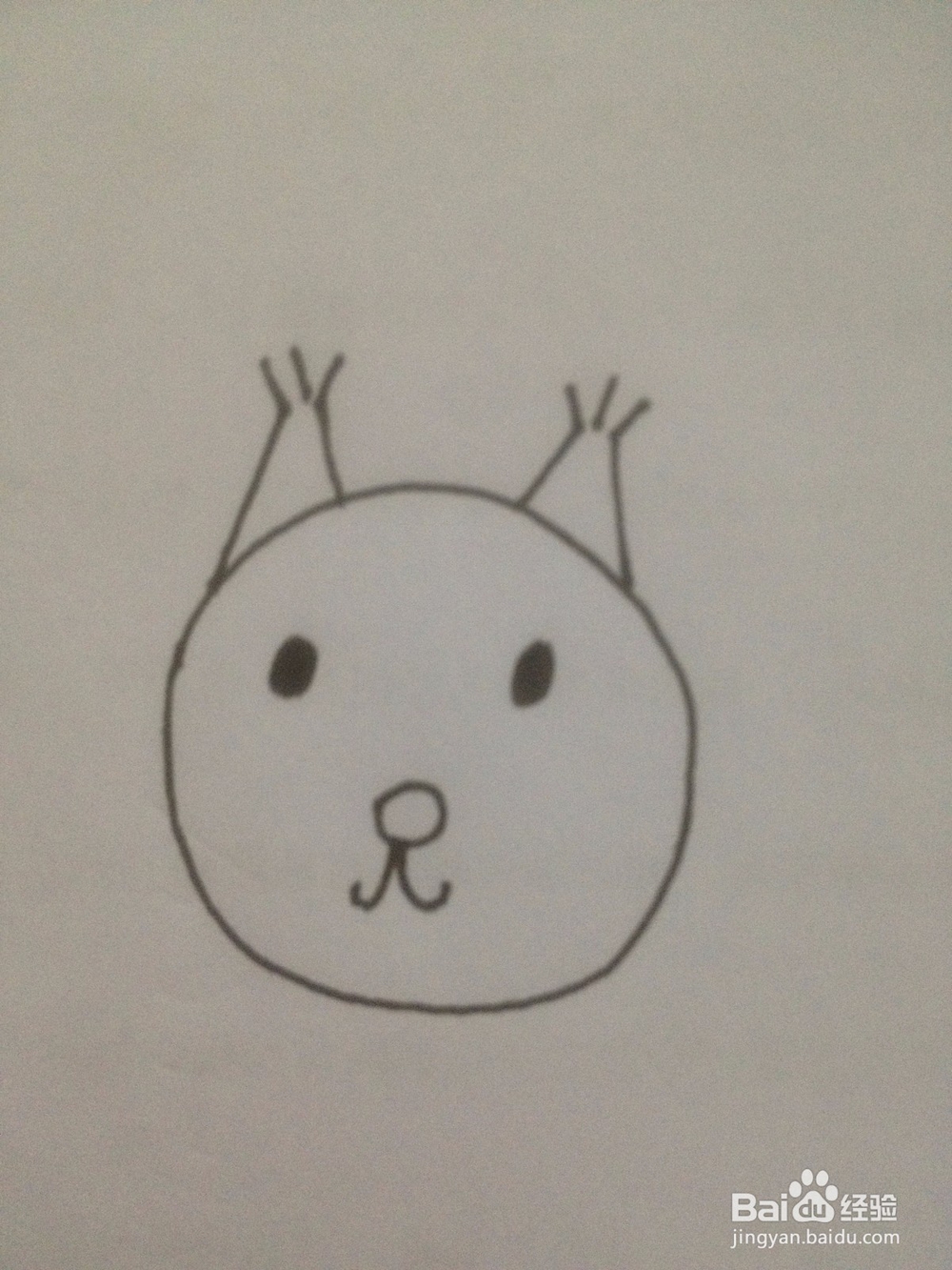 如何画一只简单的松鼠