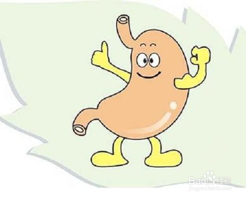 哪些习惯可以延长肠道寿命