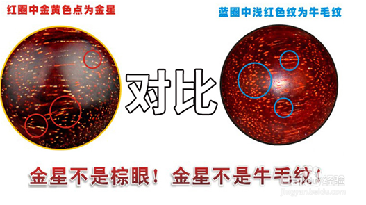 满金星小叶紫檀手串