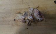韭菜苔炒肉丝的做法