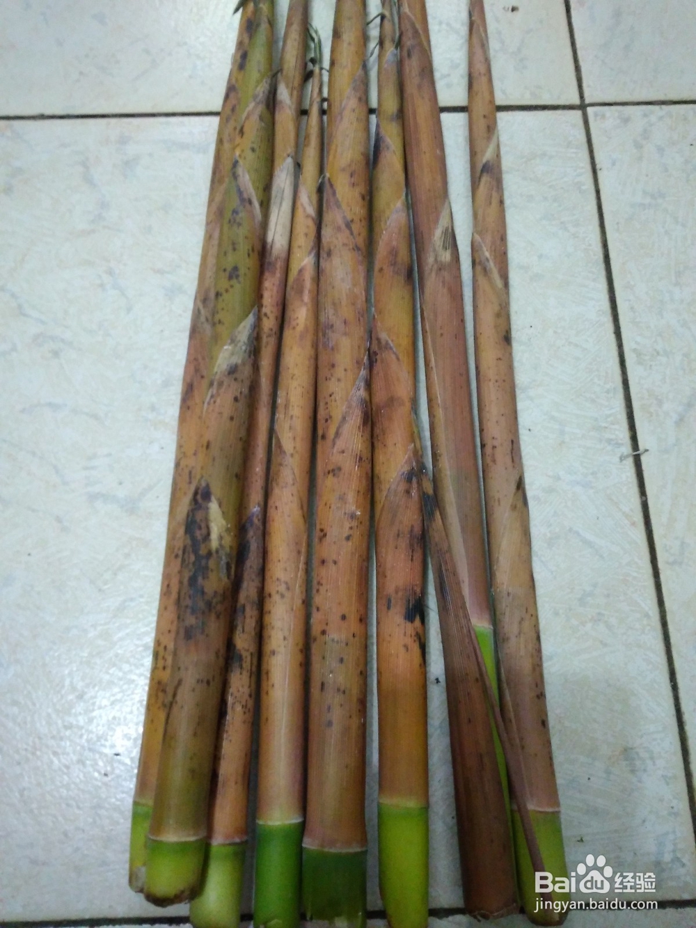 野山笋炒肉的简单家常做法