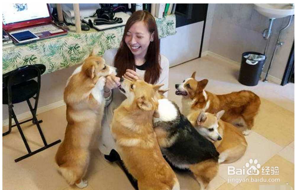 日常缓解压力的有效办法