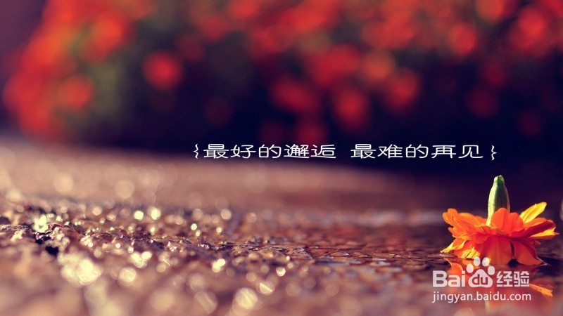 如何追你喜欢的女生,我的经验!