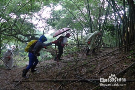 旅游爬山时遭遇下雨,怎么办