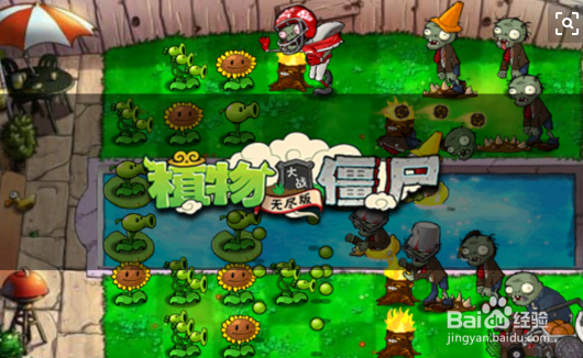 植物大战僵尸无限生存模式如何玩