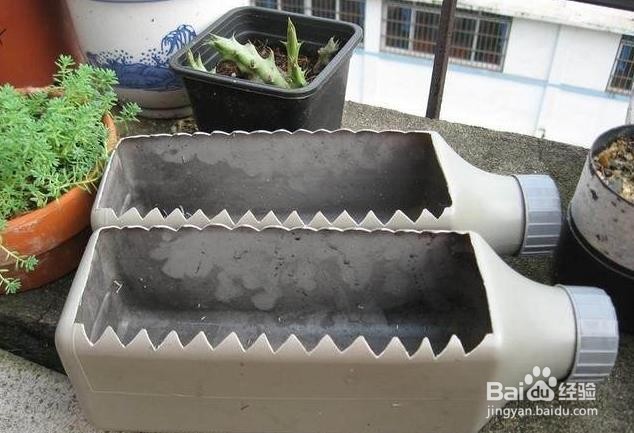 用塑料瓶做花盆