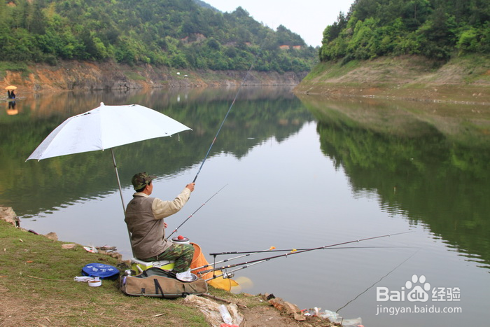 钓鱼的一些小常识