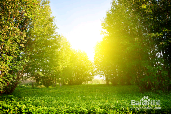 怎么才能有效快速的减肥？