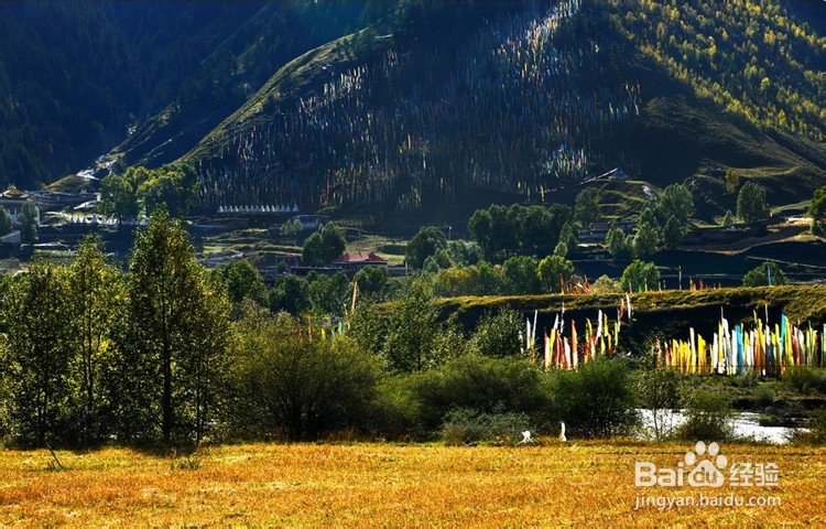 这篇攻略,送给第一次进藏的人