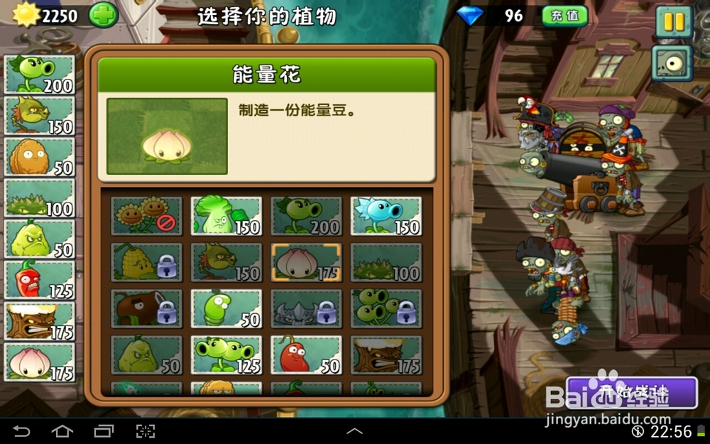 植物大战僵尸2海盗港湾坚不可摧第二天