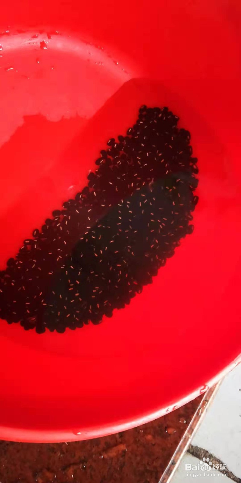 止咳补血的营养粥