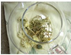 清热去火双花茶