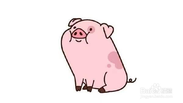 小猪的简笔画教程