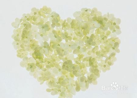 五一不远行,母亲节孝敬母亲该送啥?