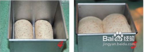 汤种小麦胚芽吐司!(附送5款健康吐司)