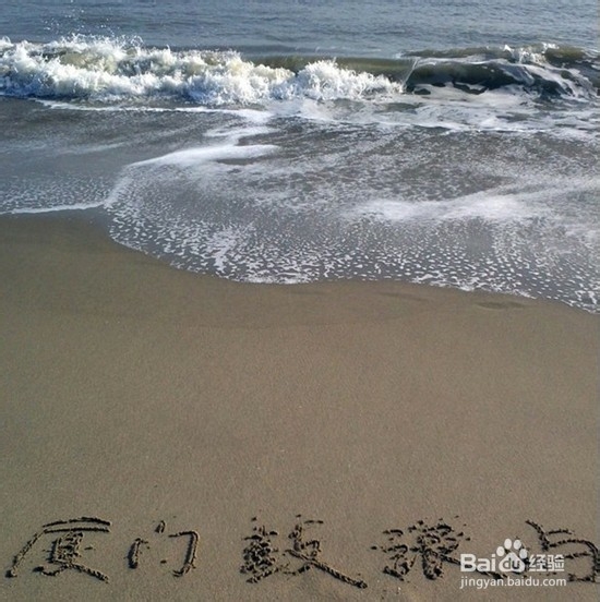 如何去厦门游玩