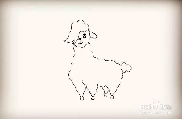 动物系列-羊驼简笔画怎么画？
