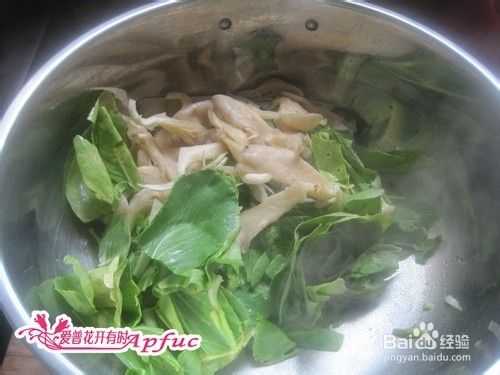 青菜炒蘑菇之私房菜