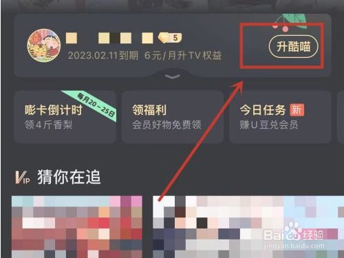 优酷vip在哪里升级酷喵vip