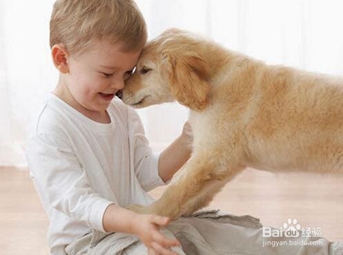 怎样帮助宝宝减轻对动物的恐惧？
