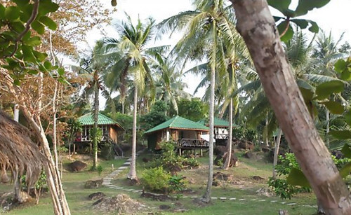 从曼谷去狗骨岛的旅游攻略