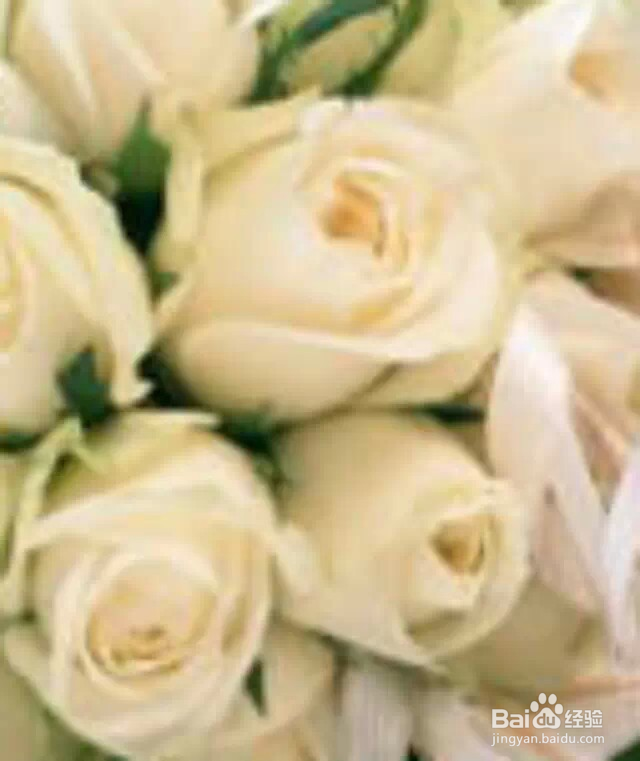 五大公认减脂肪运动