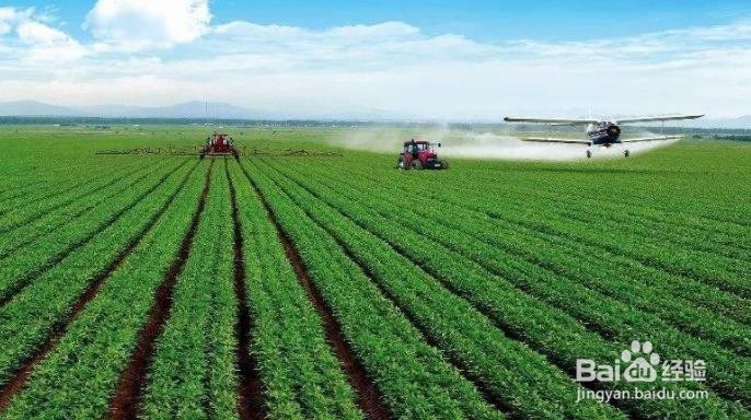 如何发展壮大农业产业