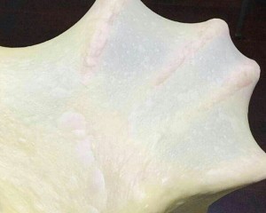 万能吐司配方