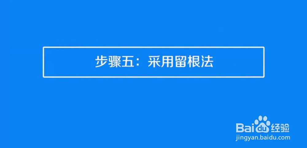 黑枸杞应该怎样跑才不破坏营养?