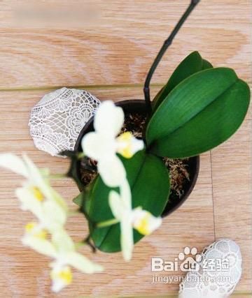 小石子的别样浪漫，七个小招让家居更温馨