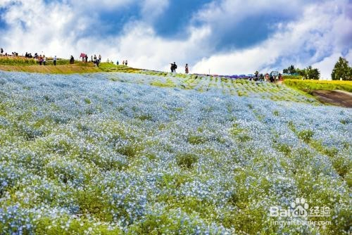 北海道5月旅游攻略 百度经验