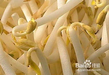 营养养生，不能吃的食物