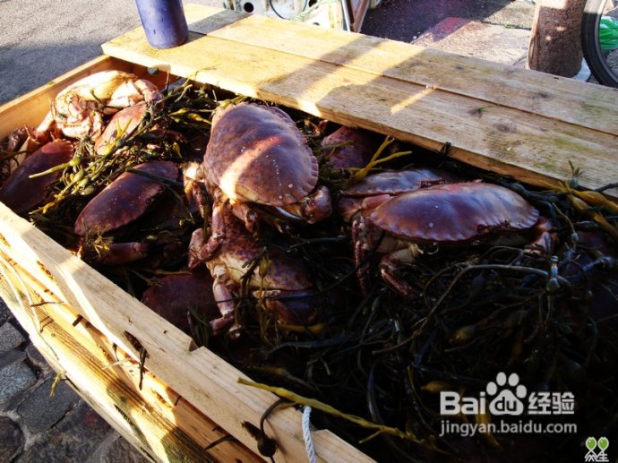 【挪威】卑尔根鱼市，海鲜食客的饕餮大餐