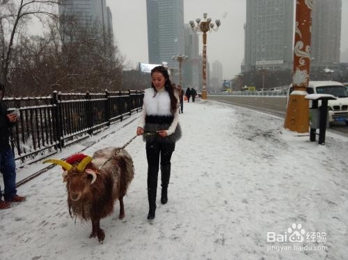 4月份下大雪了怎么办?