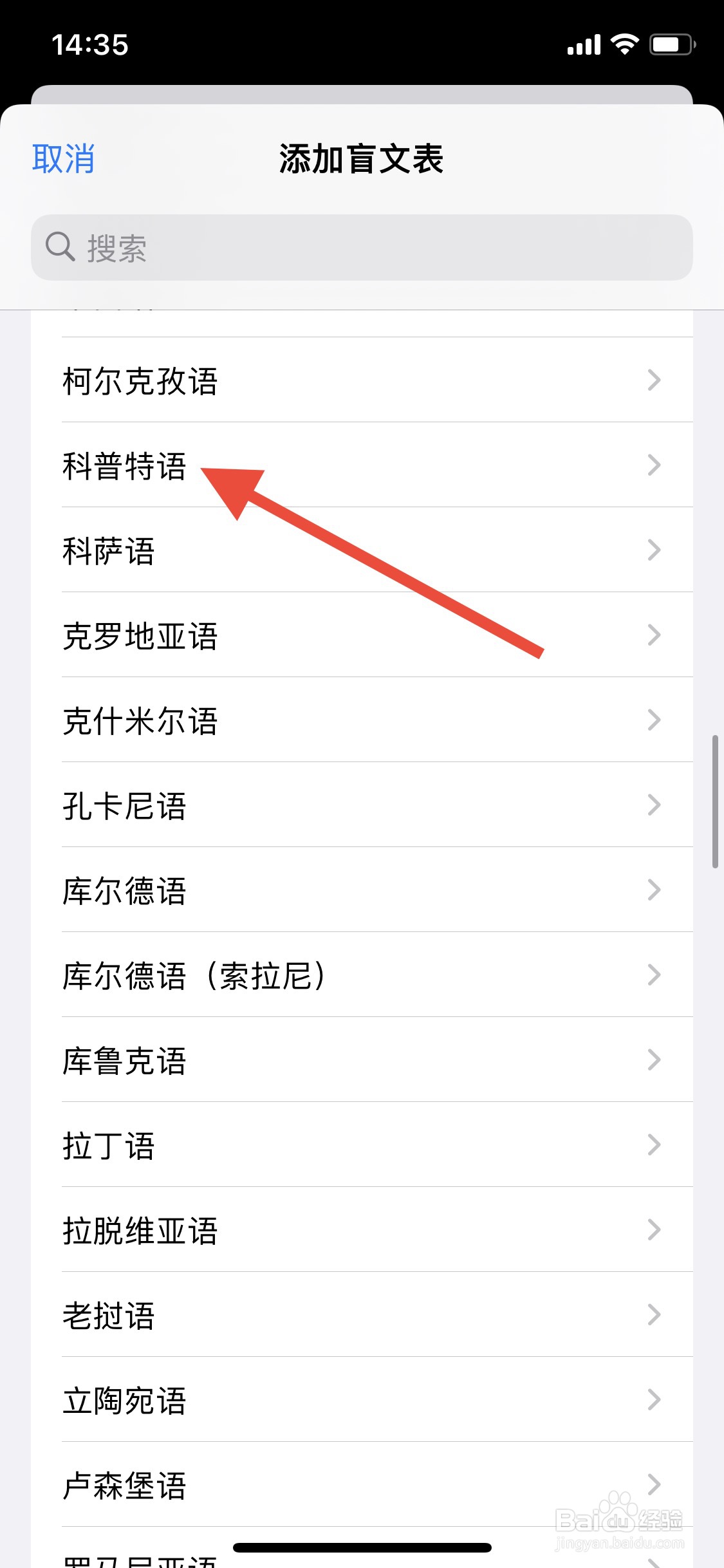 iPhone如何添加盲文表“ 科普特语”