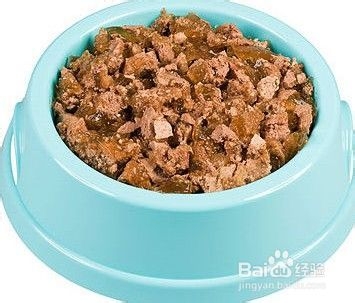 德牧幼犬吃什么补钙？怎么给德牧补钙呢？