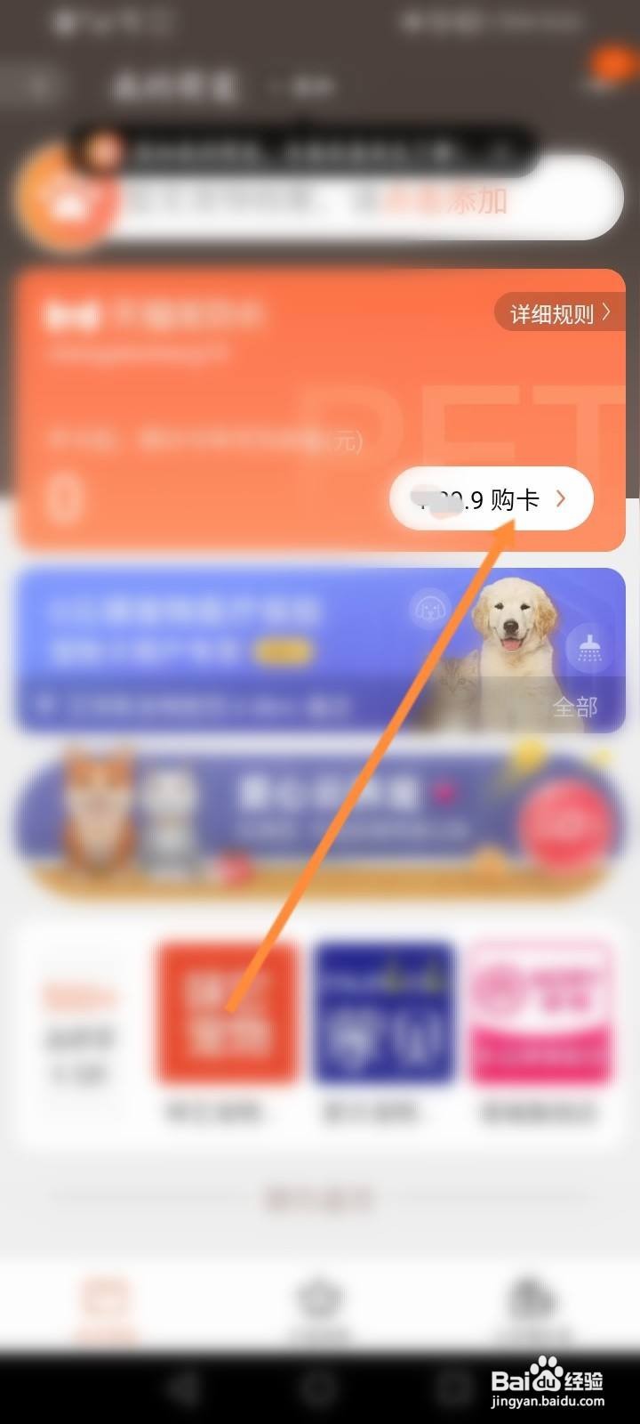 淘宝宠物卡怎么开