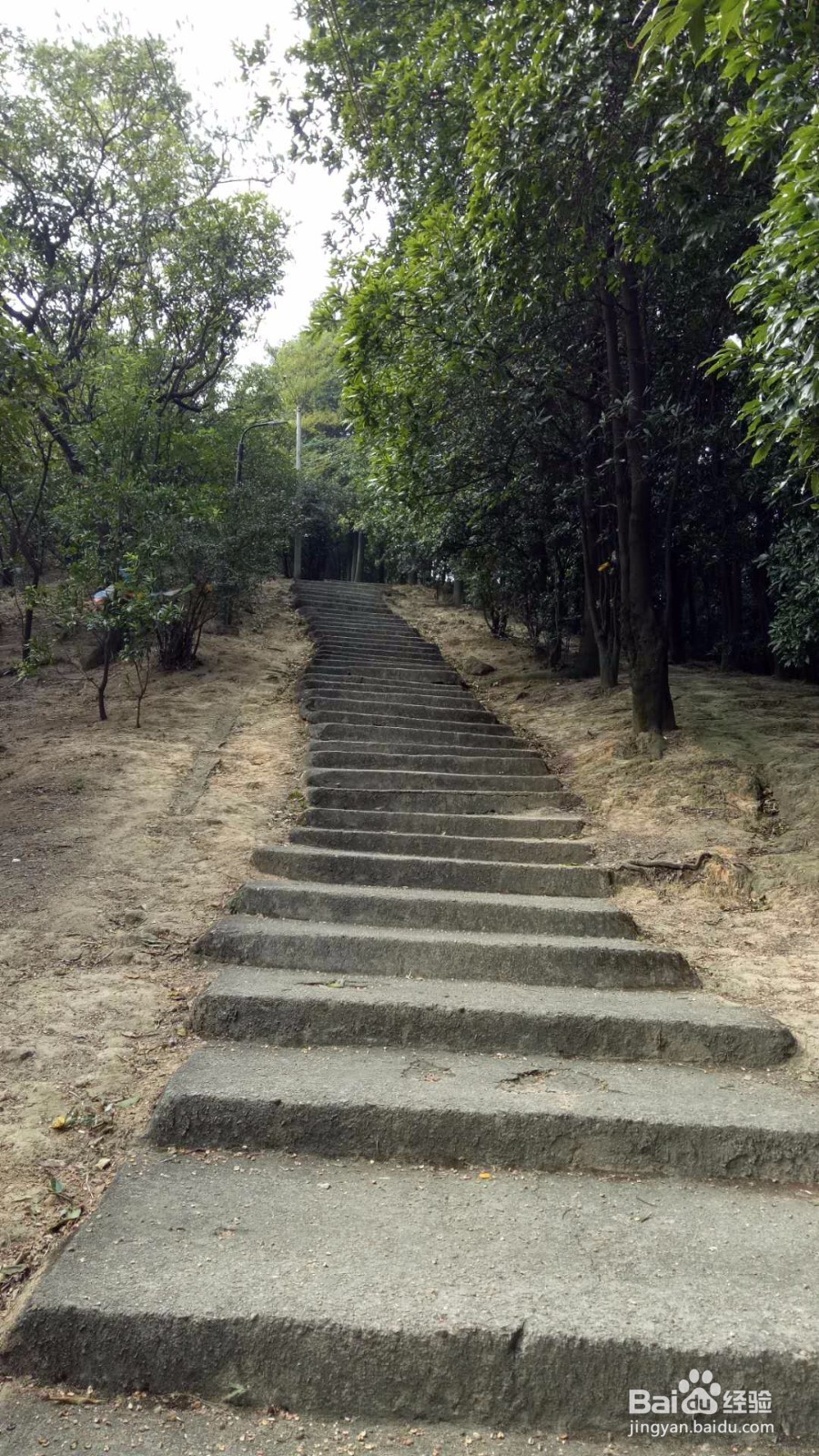 周末徒登芙蓉山