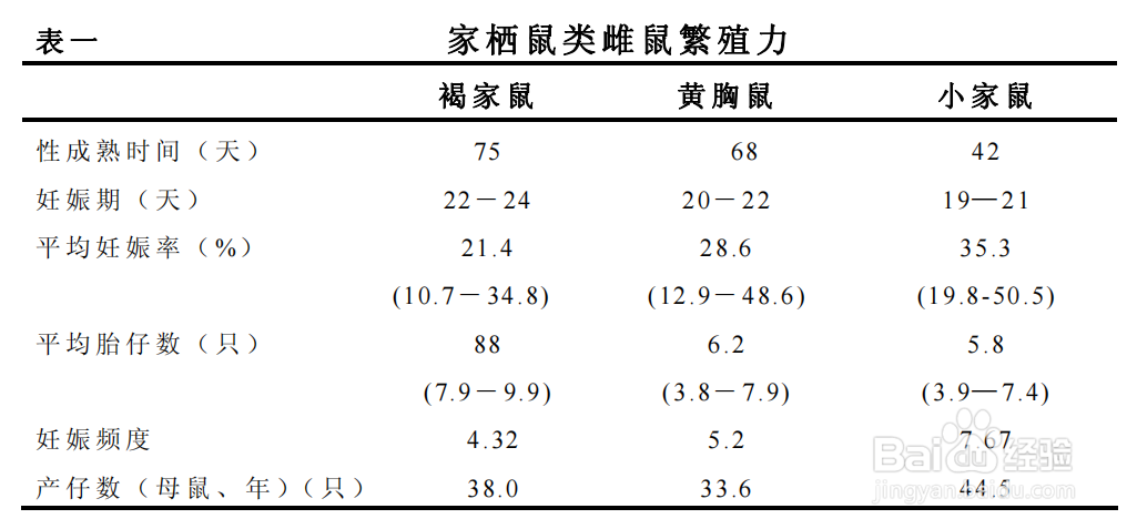 如何区分不同种类的老鼠