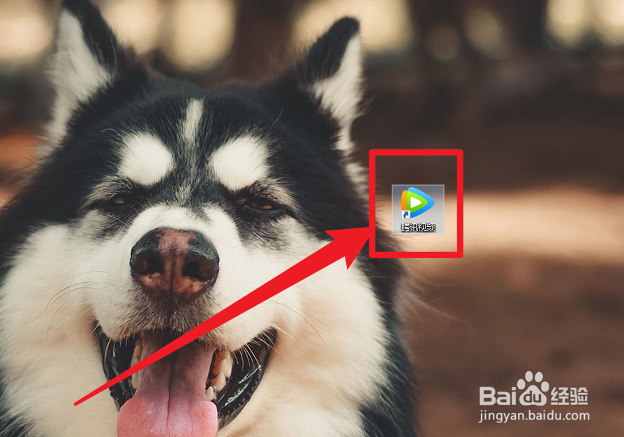 腾讯视频关闭个性化视频自动播放