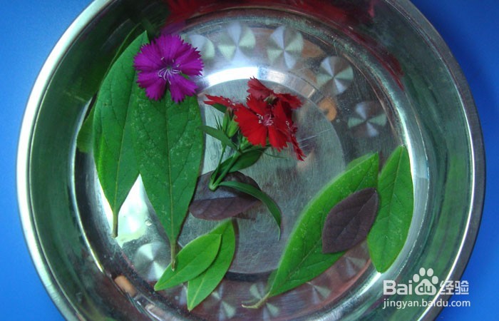 植物拼装画之欣赏花的美女