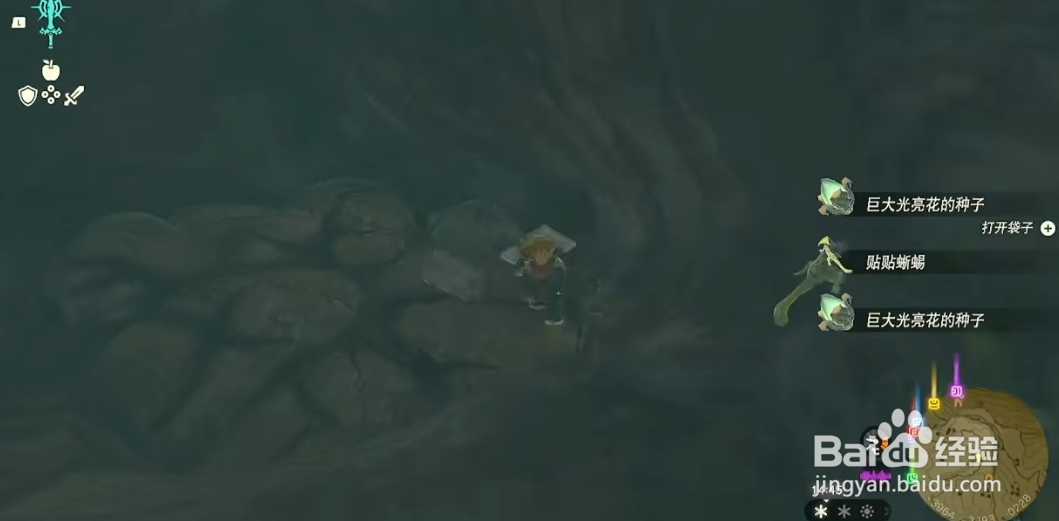 王国之泪沉睡于山中秘泉的秘宝完成方法