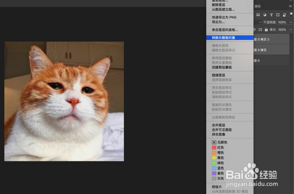 怎么用PS做动态表情