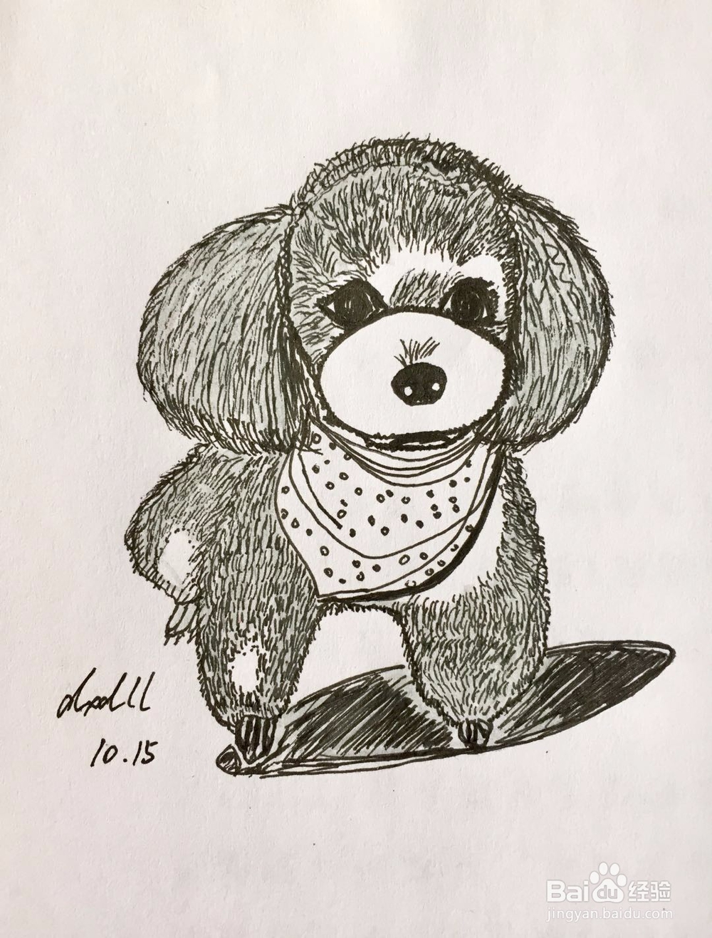 茉莉彩铅手绘之萌宠泰迪