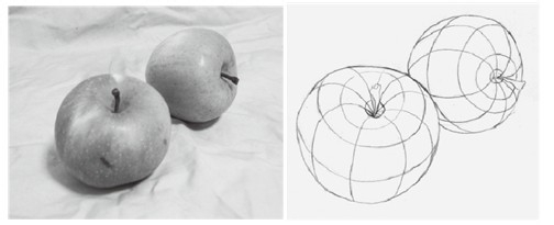 素描静物的画法一