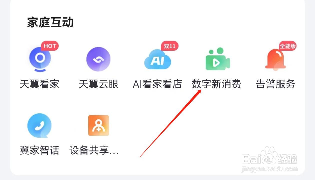 小翼管家怎么查询数字新消费